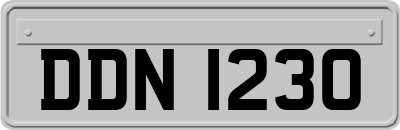 DDN1230