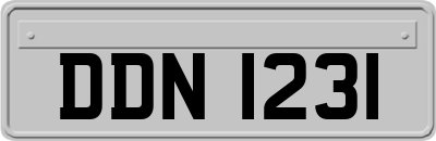 DDN1231