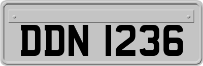 DDN1236