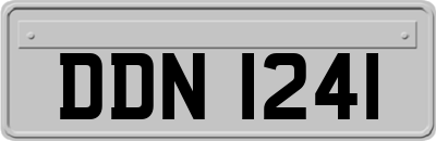 DDN1241