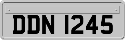DDN1245