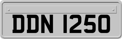 DDN1250