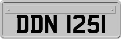 DDN1251