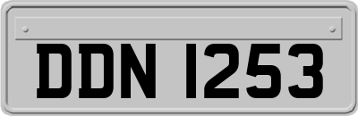 DDN1253