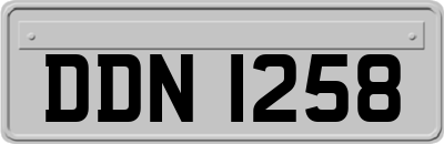 DDN1258