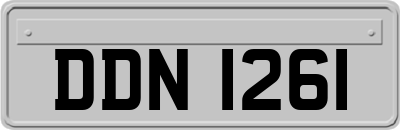 DDN1261