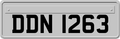 DDN1263