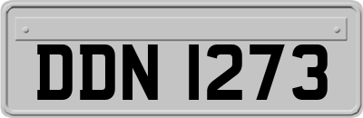 DDN1273
