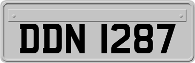DDN1287
