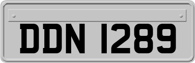 DDN1289