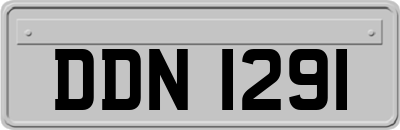 DDN1291