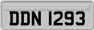 DDN1293