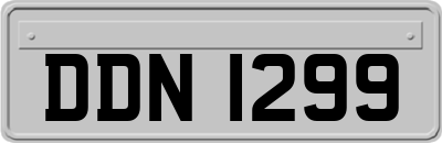 DDN1299
