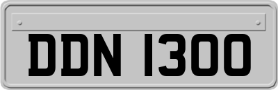 DDN1300