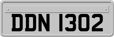 DDN1302