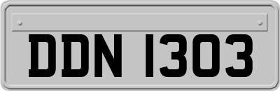DDN1303