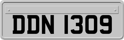 DDN1309