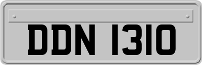 DDN1310
