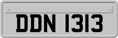DDN1313