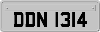 DDN1314
