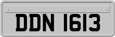 DDN1613