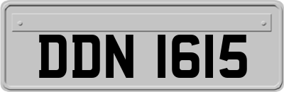 DDN1615