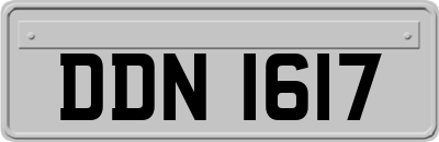 DDN1617