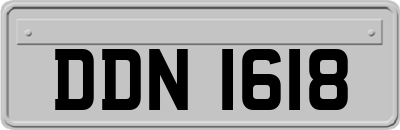 DDN1618