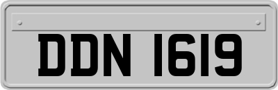 DDN1619