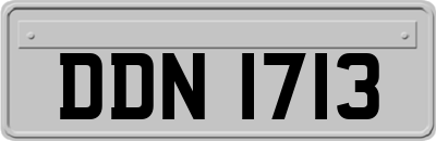 DDN1713