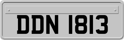 DDN1813