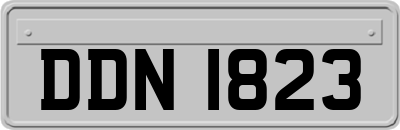 DDN1823