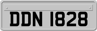 DDN1828