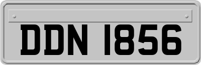 DDN1856