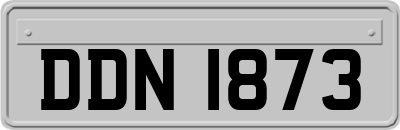 DDN1873