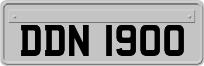 DDN1900