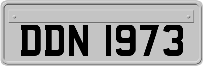 DDN1973