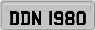 DDN1980