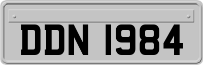 DDN1984