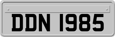 DDN1985