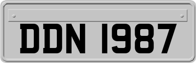 DDN1987