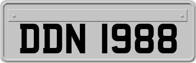 DDN1988