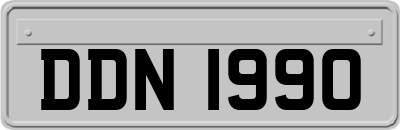 DDN1990
