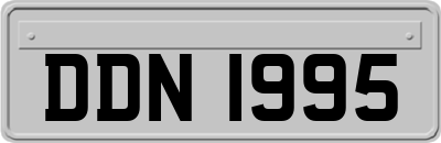 DDN1995