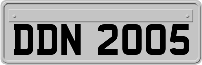 DDN2005