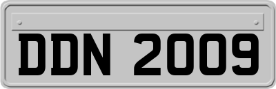 DDN2009