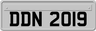 DDN2019