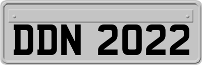 DDN2022