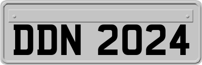 DDN2024