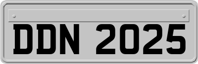 DDN2025
